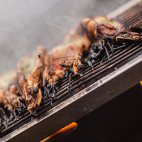 Grilla BBQ Dual Fuel