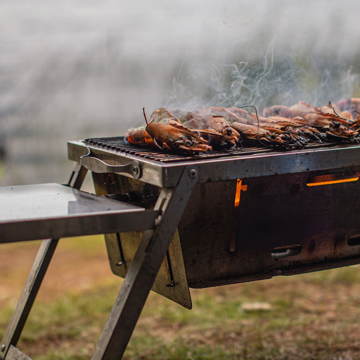 Grilla BBQ Dual Fuel