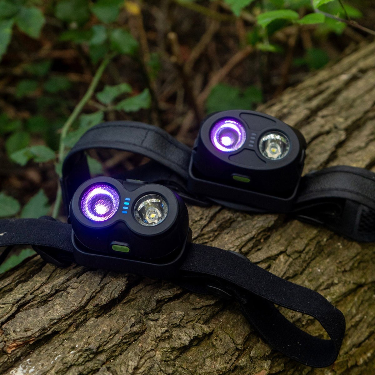 VRH300X Pro USB Rechargeable Headtorch