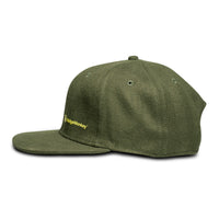 APEarel Dropback Snapback Cap